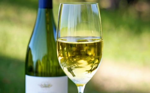 ?重慶紅酒葡萄酒知識(shí)及商務(wù)禮儀培訓(xùn)課程